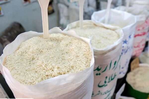 آغاز ثبت‌سفارش واردات برنج از ۲۴ شهریور/سقف سابقه بازرگانان برداشته شد