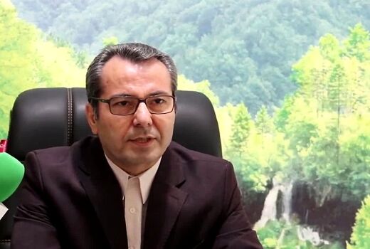 تخصیص 100 هزار تن نهاده جو به دامداران عشایری تا پایان دی‌ماه
