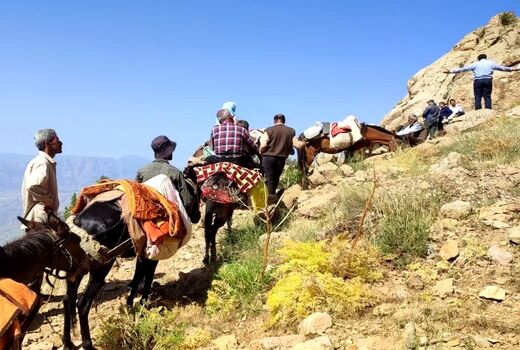 آغاز کوچ بهاره عشایر در استان قزوین