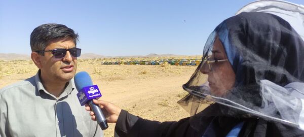 پیش‌بینی رشد ۵ درصدی تولید عسل در چهارمحال و بختیاری