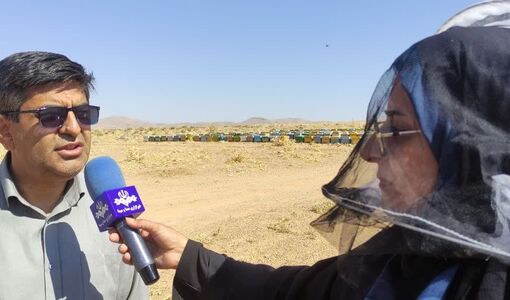 پیش‌بینی رشد ۵ درصدی تولید عسل در چهارمحال و بختیاری