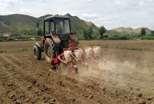 پیش‌بینی تولید بیش از 6 هزار تن وش پنبه در خداآفرین