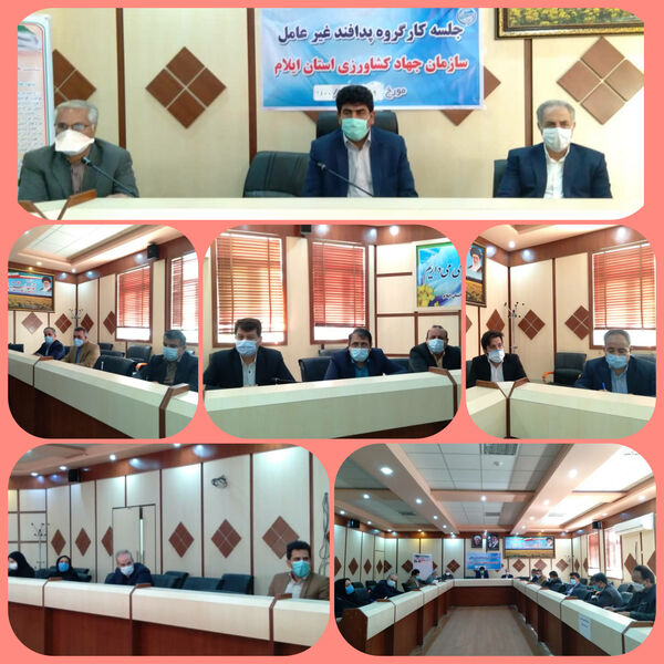  اولین جلسه کارگروه پدافند غیر عامل سازمان جهاد کشاورزی استان ایلام در سال ۱۴۰۰