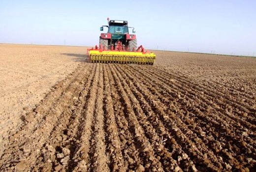 برنامه جهش تولید در دیمزارهای قزوین ۷۶ درصد محقق شده است
