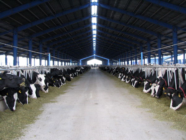 بهره مند شدن ۱۴۷ بهره بردار شهرستان البرز از تسهیلات سرمایه در گردش