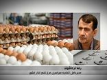 بازار تخم مرغ به تعادل می‌رسد