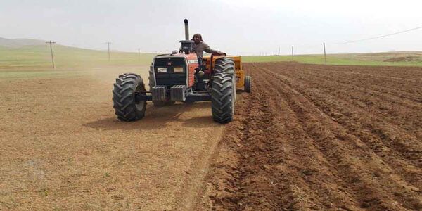 افزایش برداشت گندم در اصفهان