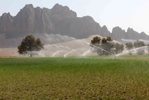 آبیاری نوین در 6 هزار هکتار از اراضی سیستان و بلوچستان در حال اجرا است