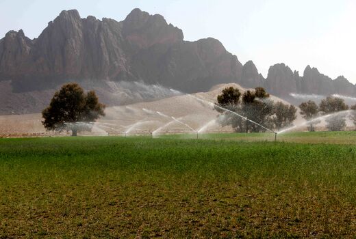 آبیاری نوین در 6 هزار هکتار از اراضی سیستان و بلوچستان در حال اجرا است
