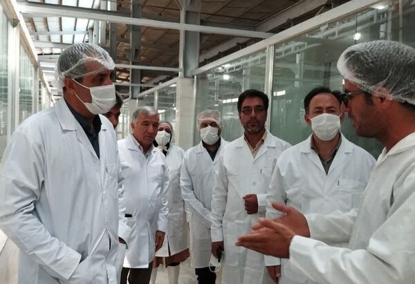 بررسی ظرفیت‌های تولیدی، بهداشتی و توسعه‌ای صنعت دام در جنوب استان آذربایجان شرقی 