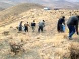 اجرای عملیات احیای اراضی مرتعی در سطح 130 هکتار از مراتع شهرستان شهریار