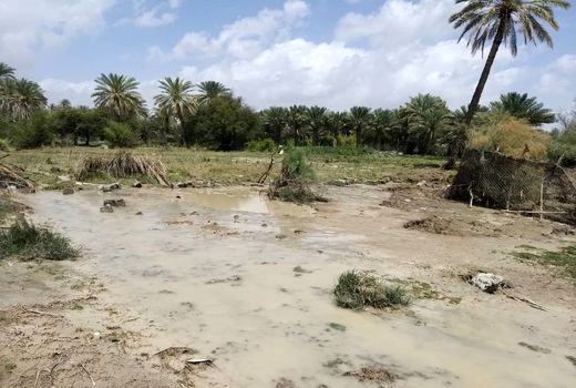 اقدامات وزارت جهاد کشاورزی در استان‌های سیل‌زده جنوب کشور