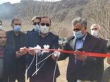 افتتاح مرغداری ۷۰ هزار قطعه ای در شهرستان دورود