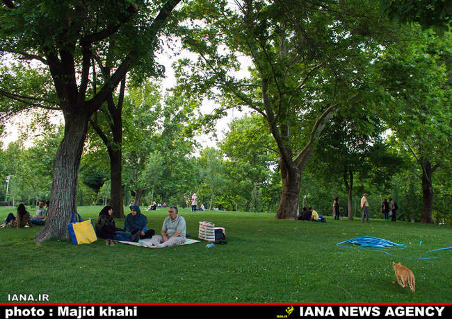 افطار در فضای سبزشهری