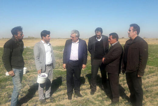 بخش کشاورزی در بحث اشتغال محور اصلی قرار گیرد