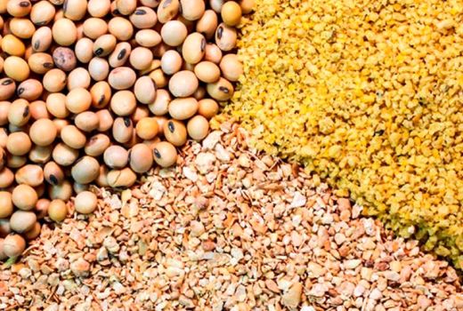 حمایت از دامداران با توزیع نهاده‌های دامی 