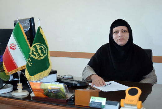 آتش زدن بقایای گیاهی مزارع ممنوع 