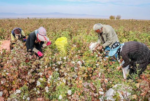 آمایش سرزمین راهگشای بخش کشاورزی