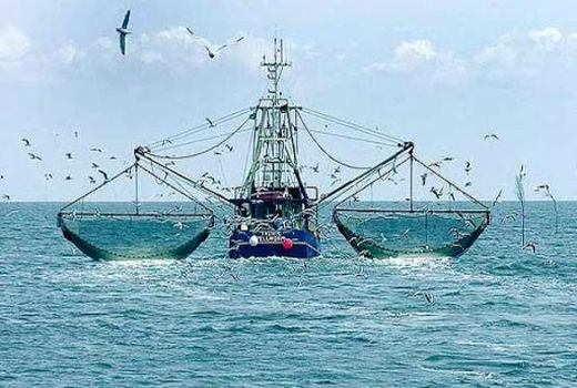 توقف صید ترال ۸ فروند قایق در خلیج‌فارس 