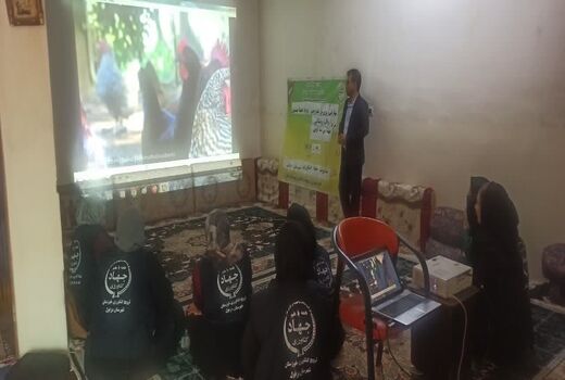 توانمندسازی اعضای صندوق خرد زنان روستایی دزفول