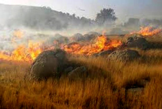 آتش سوزی در مراتع شهرستان دماوند مهار شد