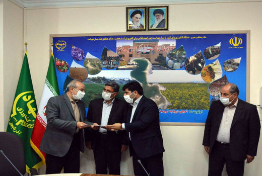 پلاک‌کوبی دام باید در اولویت کاری معاونت بهبود تولیدات دامی قرار گیرد