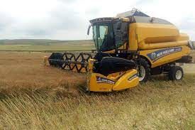 پایان خرید کلزا در خرمشهر