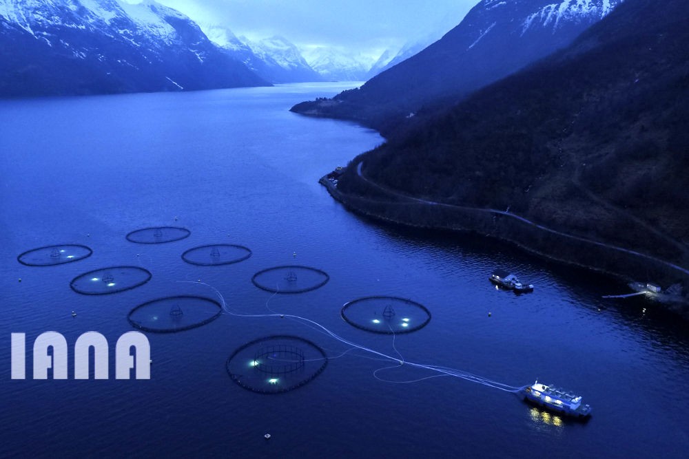 انقلاب غذا در اروپا