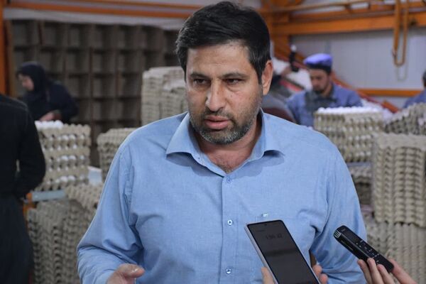 فعالیت بزرگترین و مجهزترین مرغداری مرغ تخم گذار شمال غرب در مرند