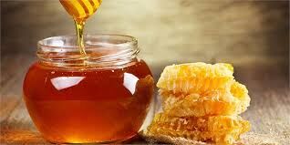 بیش از ۱۷۲ تن عسل در مانه و سملقان برداشت شد
