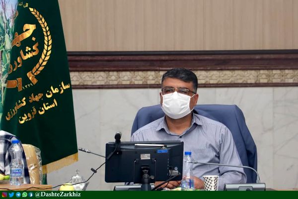 چهار درصد از تولیدات بخش کشاورزی کشور متعلق به استان قزوین است