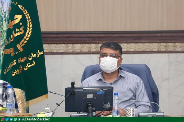 چهار درصد از تولیدات بخش کشاورزی کشور متعلق به استان قزوین است