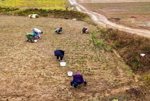 پرداخت بیش از ۱۳ میلیارد ریال عیدی به مستمربگیران زیر پوشش صندوق بیمه کشاورزان، روستاییان و عشایر خراسان شمالی
