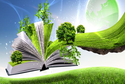  رتبه نخست تدوین استانداردهای آموزشی و سنجش مهارت به جهاد کشاورزی رسید