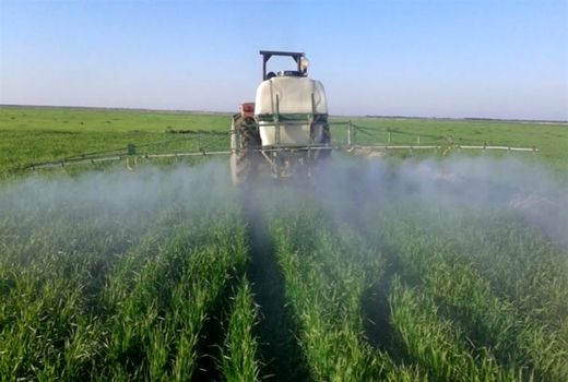 مبارزه شیمیایی در سطح ۲۴۷ هزار هکتار از اراضی کشاورزی آذربایجان‌غربی اجرا شد