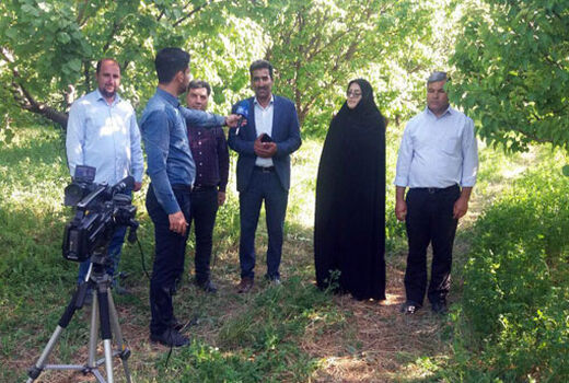 تامین محصولات نوبرانه شمالغرب کشور توسط شهر جلفا