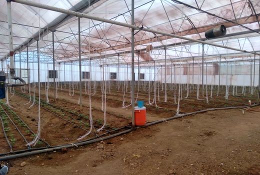 ارائه راهکارهای فنی به گلخانه داران شهرستان اردل