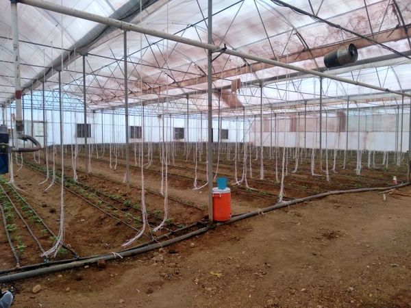 ارائه راهکارهای فنی به گلخانه داران شهرستان اردل