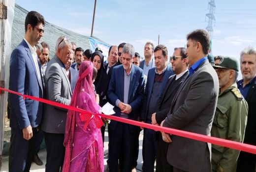 تولید روزانه 24 تن آرد کامل در بیضا