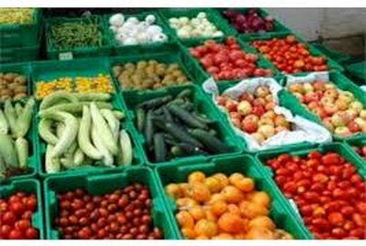 تولید 385 هزار تنی محصولات باغی و زراعی در بابلسر/ارزش اقتصادی 8 هزار میلیاردی