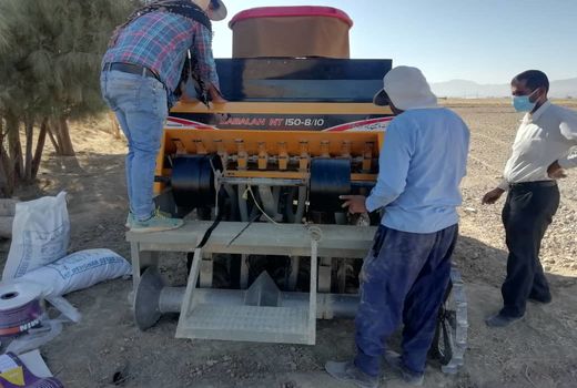 آغاز کشت گندم در کوار