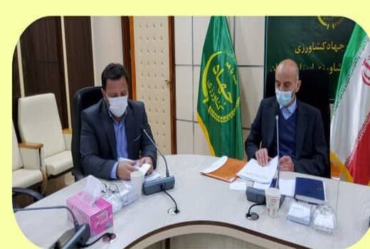  تأکید بر تولید محصولات صادرات محور