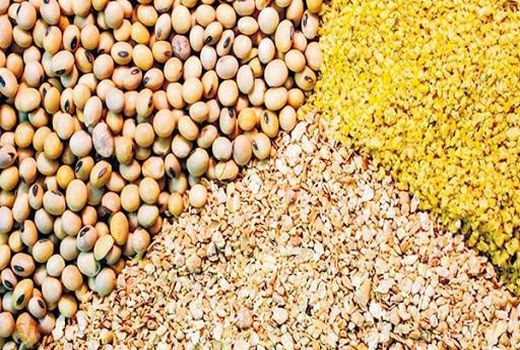 نهاده های دامی کارخانجات تولیدخوراک آبزیان چهرمحال و بختیاری تامین شد
