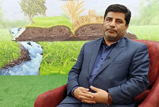  افزایش قیمت خرید تضمینی  کلزا  به۳۰ هزار تومان