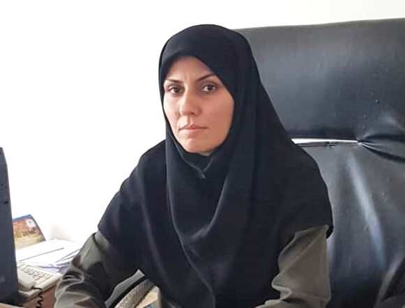 استفاده از ارقام اصلاح شده برای کاشت گندم