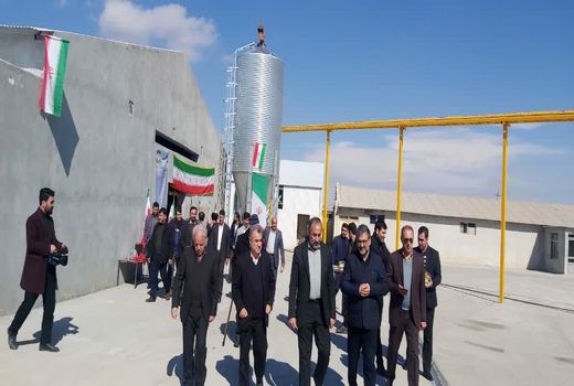 بهره‌برداری از بزرگترین واحد پرورش مرغ تخم‌گذار جنوب استان آغاز شد