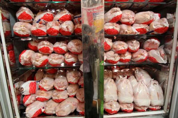 وفور عرضه و ثبات قیمت گوشت مرغ در آذربایجانغربی