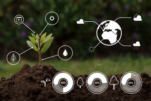  ارزشیابی و نظارت بر طرح‌های تحقیقاتی در حوزه منابع طبیعی آغاز شد