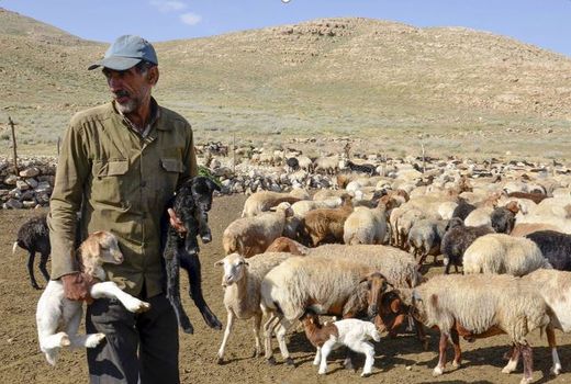 عشایر خراسان شمالی کوچ پاییزه خود را آغاز کردند