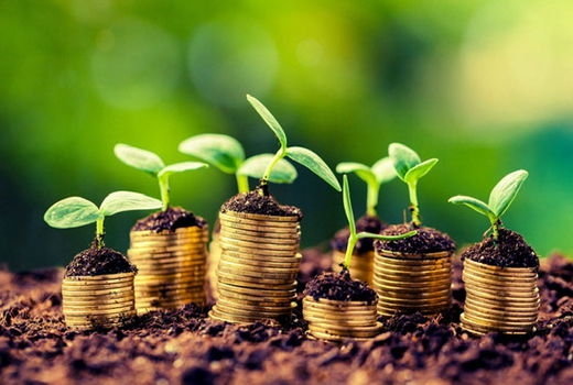 دوازدهمین کنفرانس ملی اقتصاد کشاورزی به میزبانی دانشگاه کردستان برگزار می‌شود